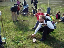 magfalva 6