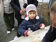 magfalva 8