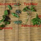 page18-1001-full.jpg