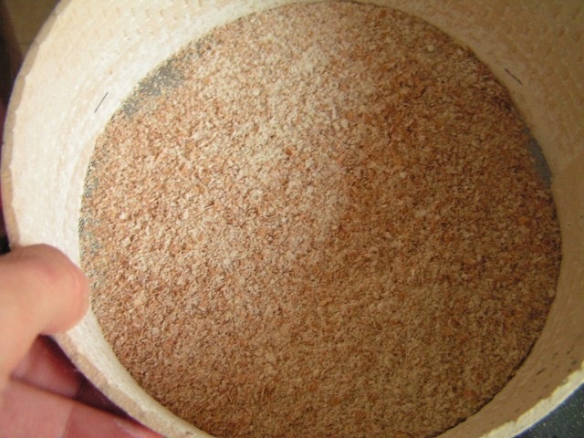 Loading Image