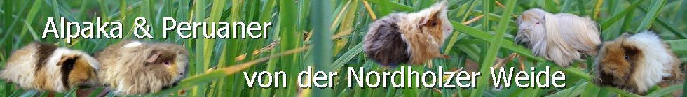 Nordholzer-Weide