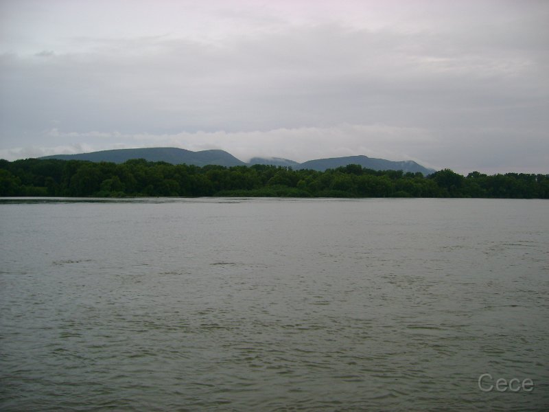 DSC05137.JPG