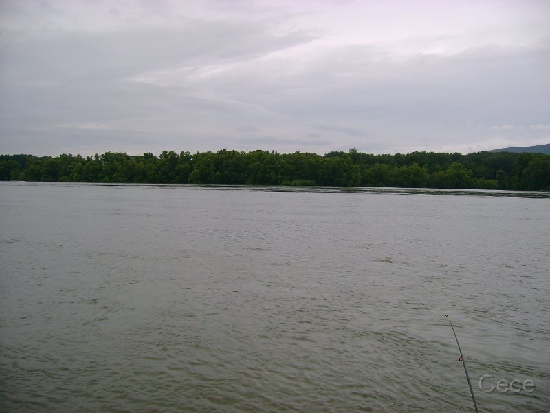 DSC05147.JPG
