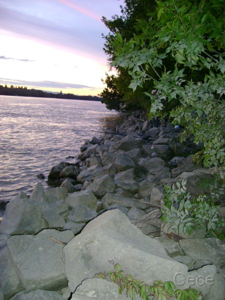 DSC05464.JPG
