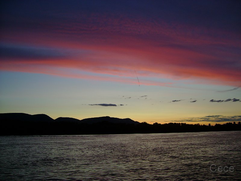 DSC05469.JPG