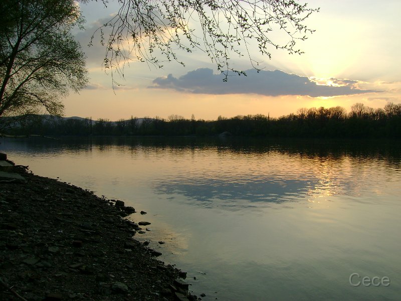 DSC08025.JPG