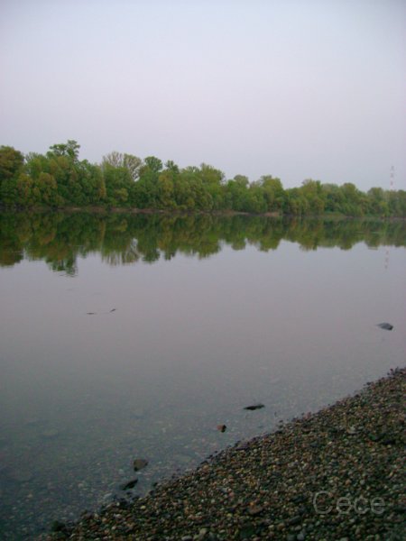 DSC08043.JPG