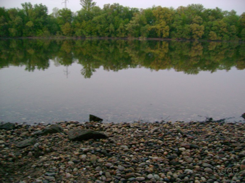 DSC08048.JPG