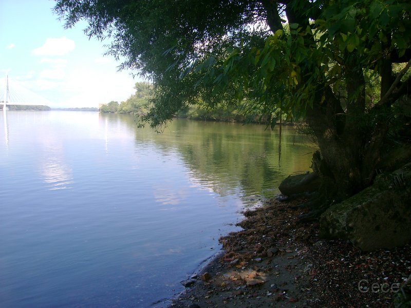 DSC09232.JPG