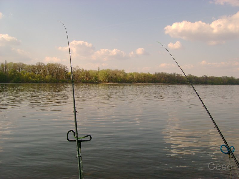 DSC08015.JPG