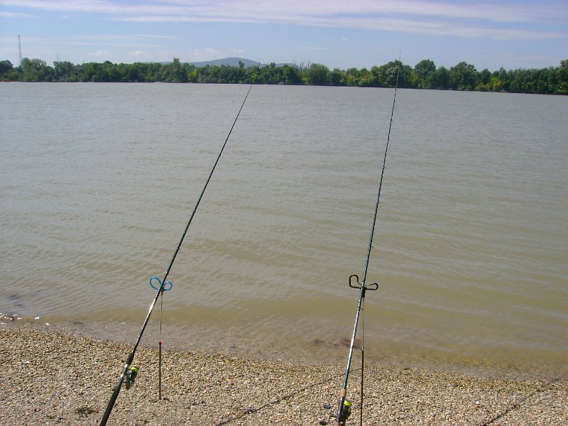 DSC09050.JPG