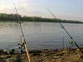 DSC08020