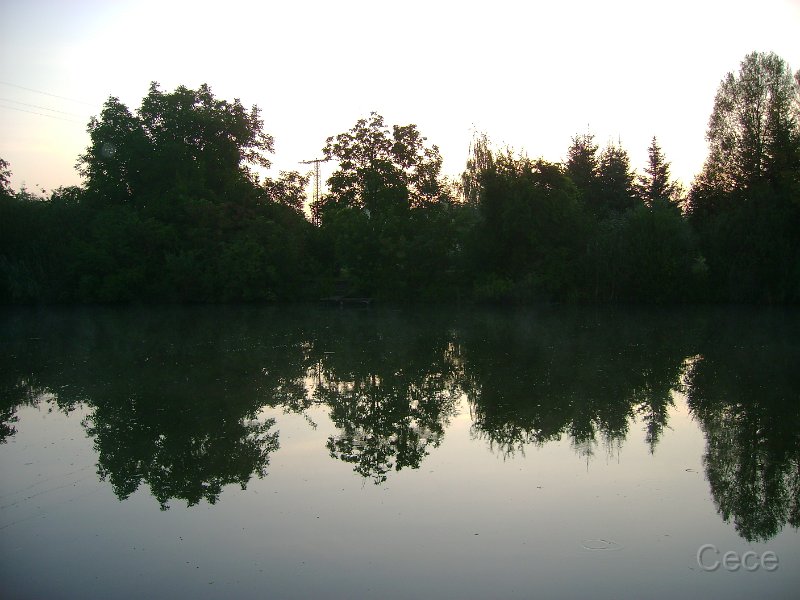 DSC05992.JPG