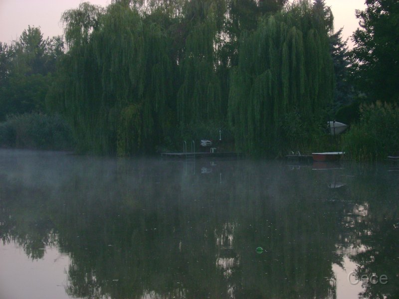 DSC06003.JPG