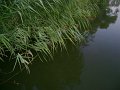 DSC05994