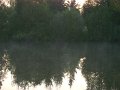 DSC05995