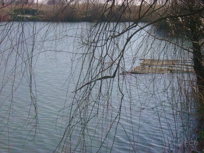 DSC00131.JPG