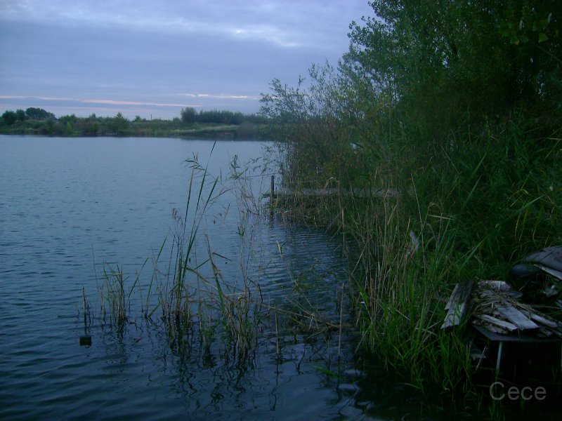 DSC09280.JPG