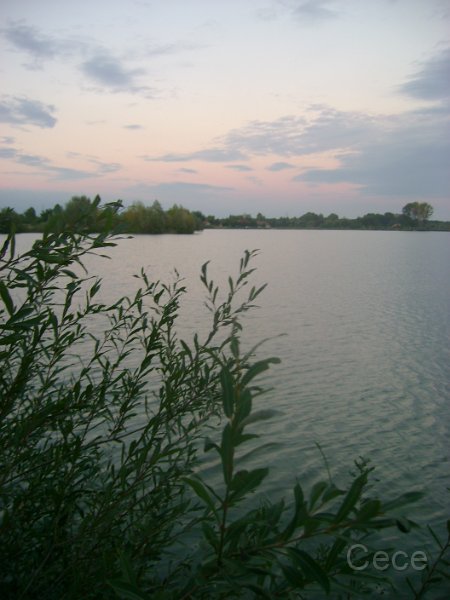 DSC09284.JPG