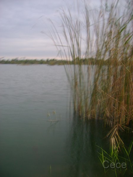 DSC09293.JPG