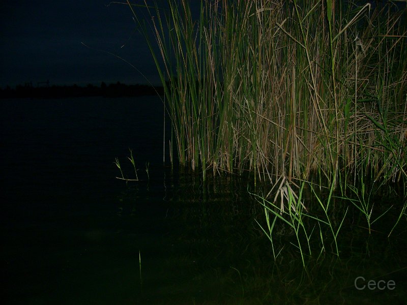 DSC09295.JPG