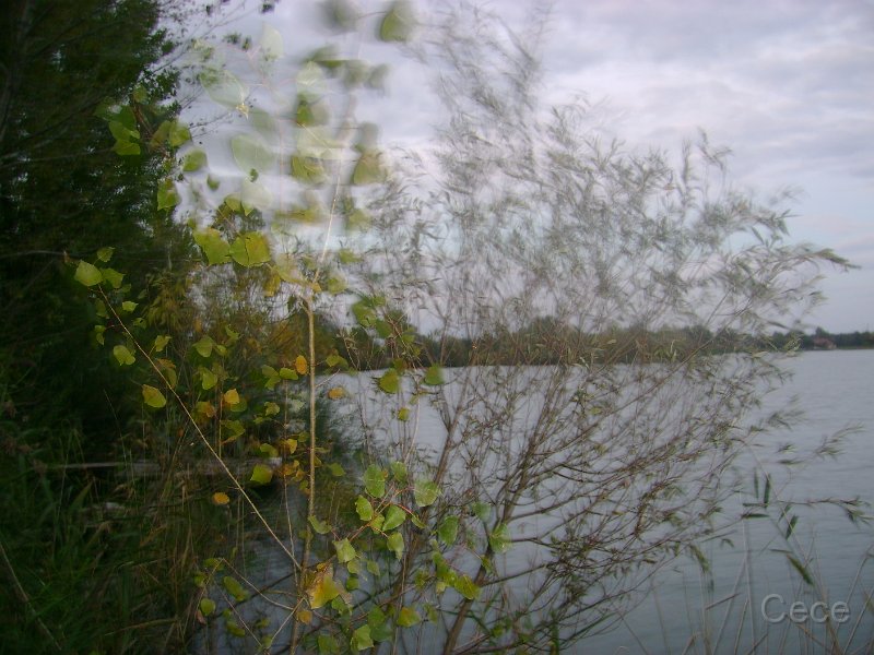 DSC09302.JPG