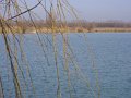 DSC00128