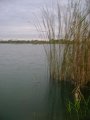 DSC09293