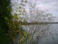 DSC09302