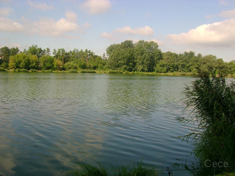 DSC09161.JPG