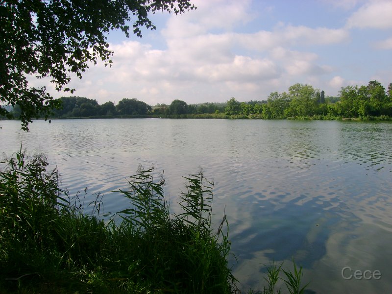 DSC09162.JPG