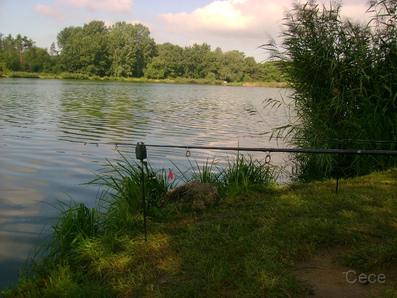 DSC09163.JPG