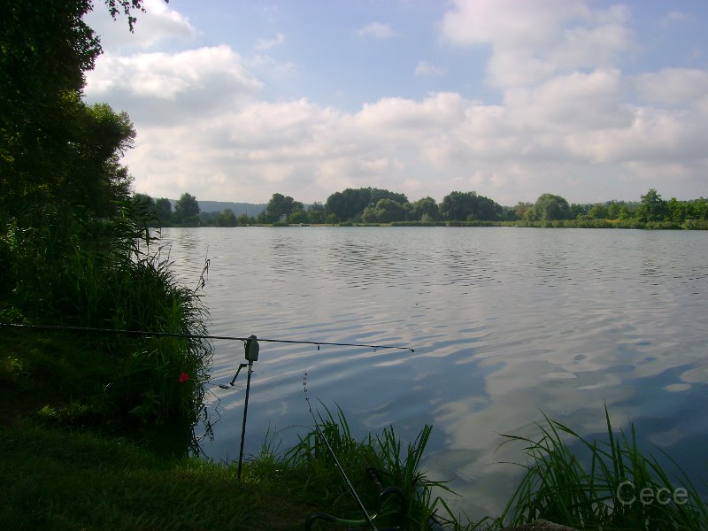 DSC09165.JPG