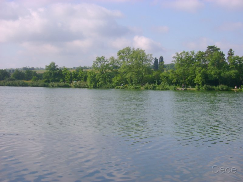 DSC09168.JPG