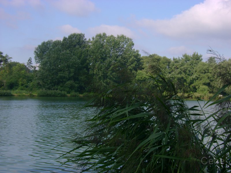 DSC09169.JPG