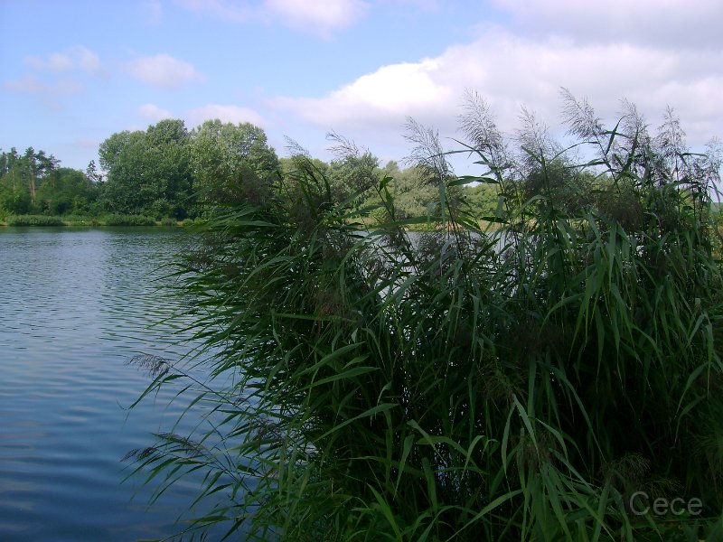 DSC09170.JPG