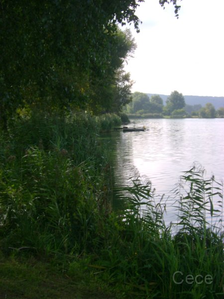 DSC09171.JPG