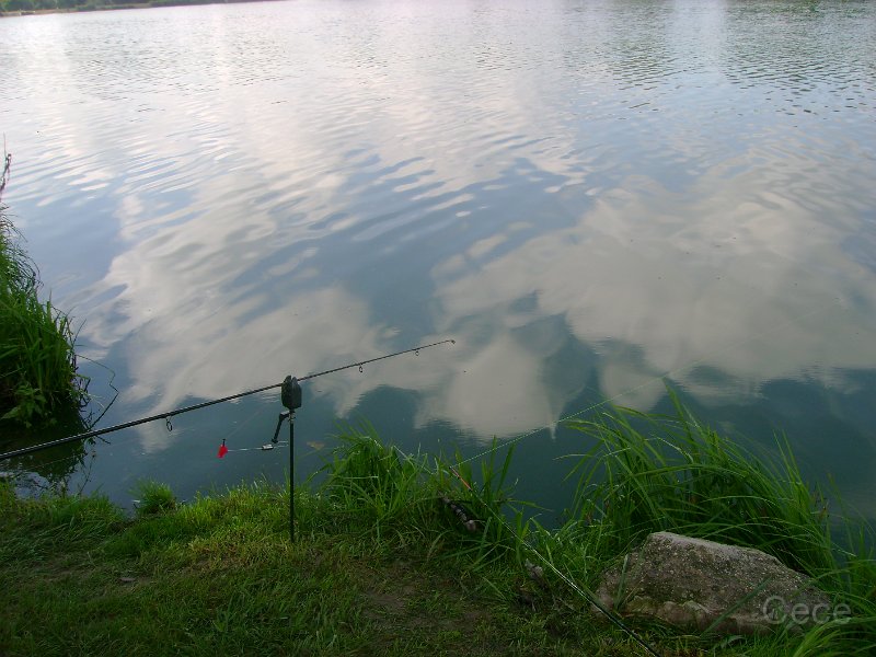 DSC09172.JPG
