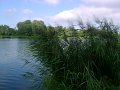 DSC09170