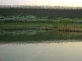 DSC04527