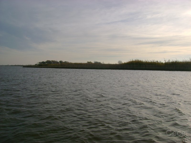DSC09586.JPG