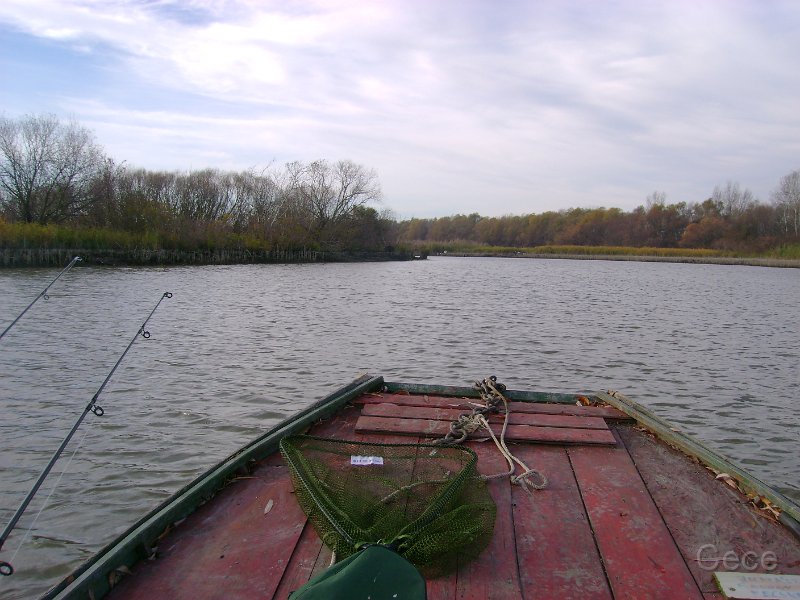 DSC09590.JPG