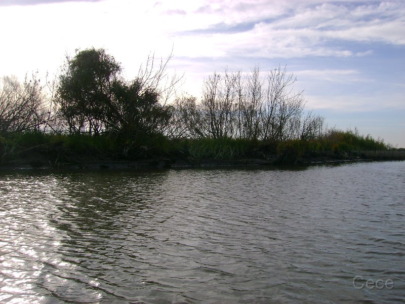 DSC09592.JPG