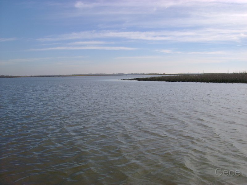 DSC09608.JPG