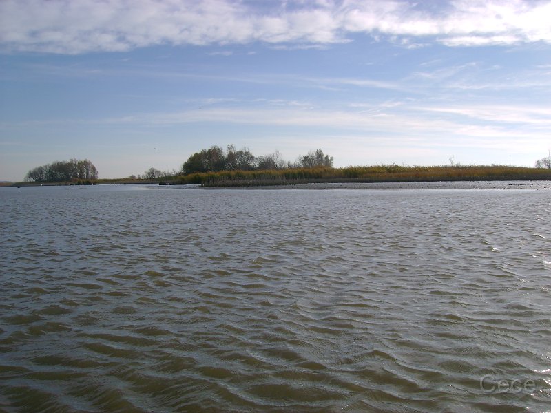 DSC09620.JPG