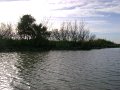 DSC09592
