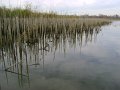 DSC09594