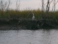 DSC09597