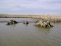 DSC09601