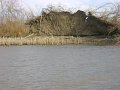 DSC09619